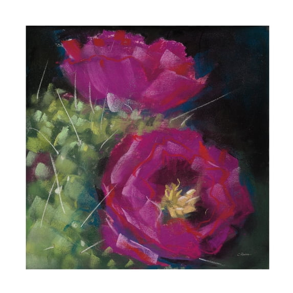 Carol Rowan 'Blooming Succulent III' Canvas Art