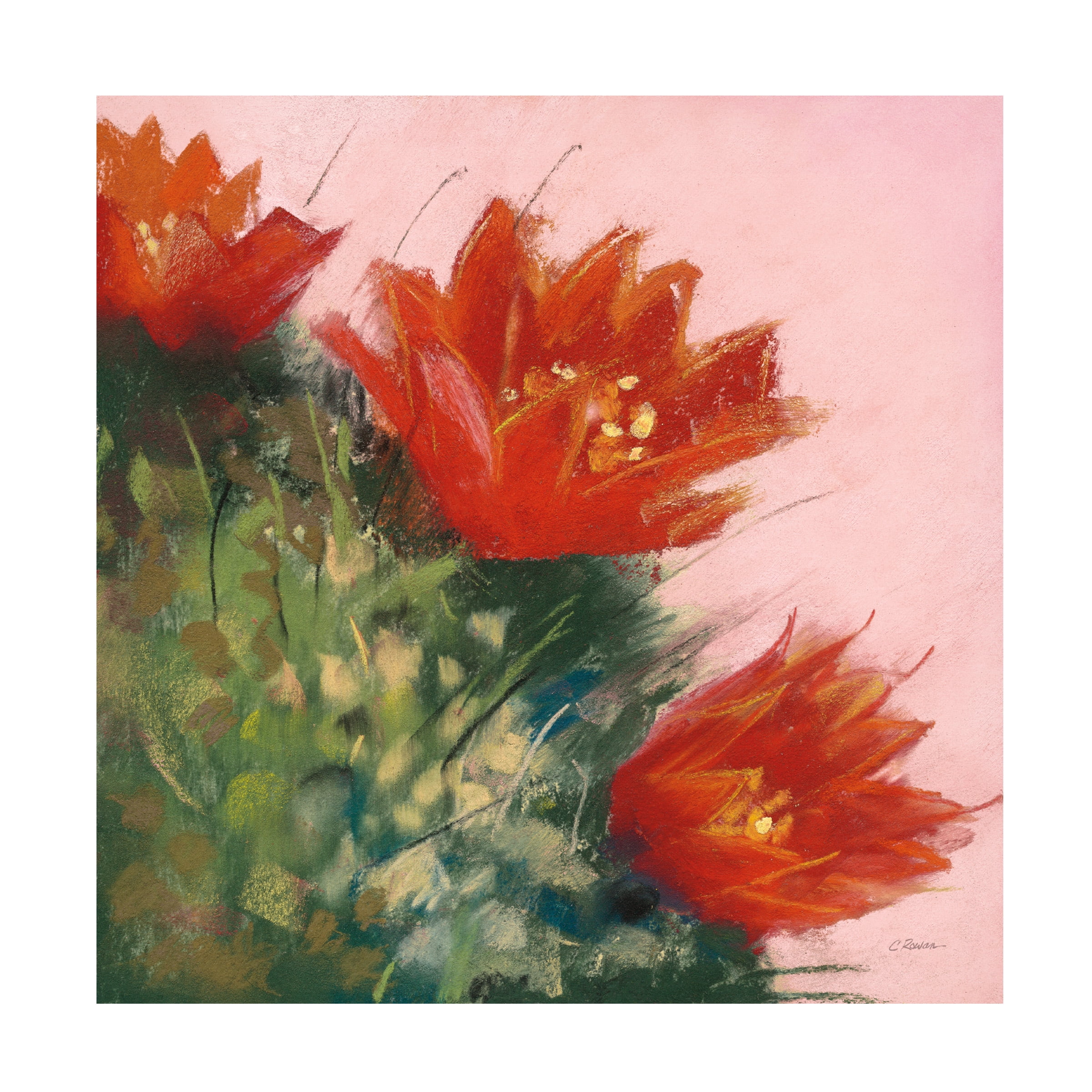 Carol Rowan 'Blooming Succulent IV' Canvas Art