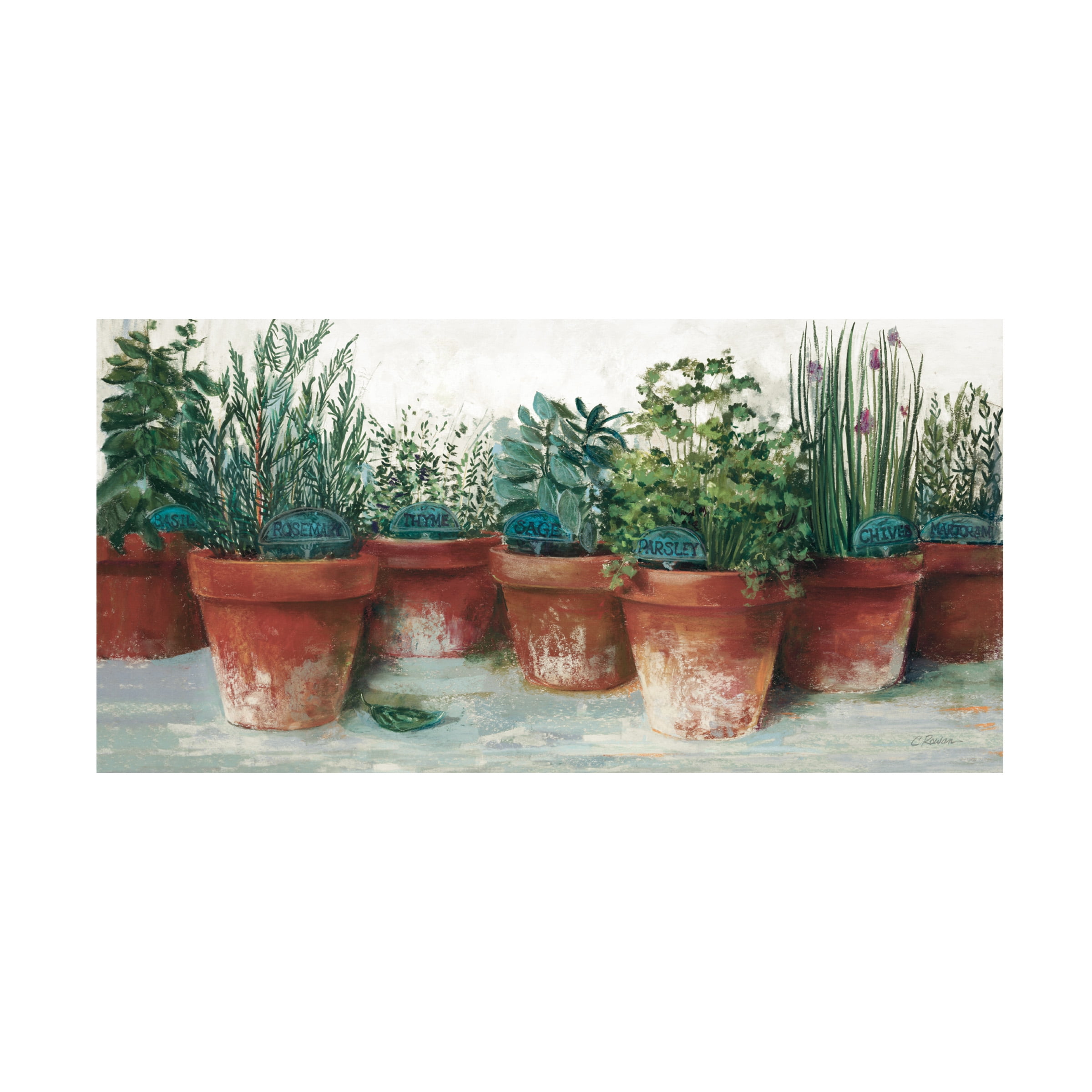 Carol Rowan 'Pots of Herbs II White' Canvas Art