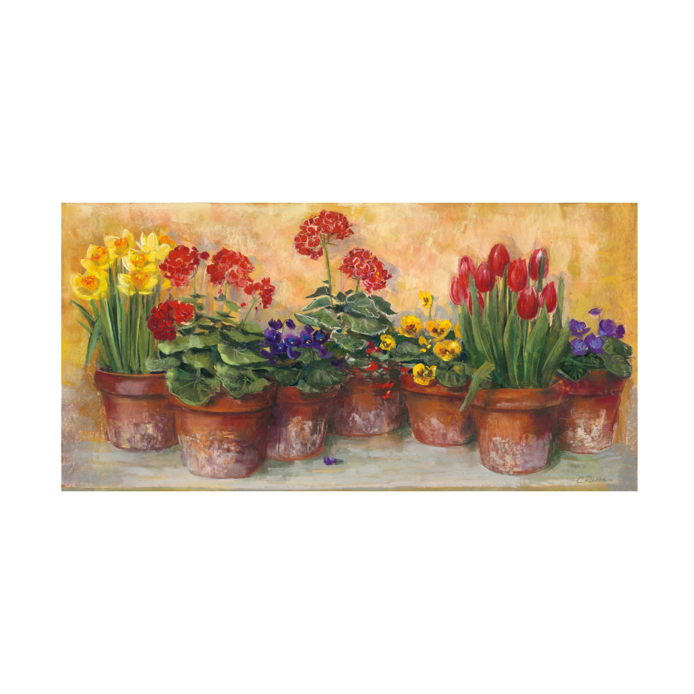 Spring Flowers in Terracotta Pots Canvas Print, 24" x 12"