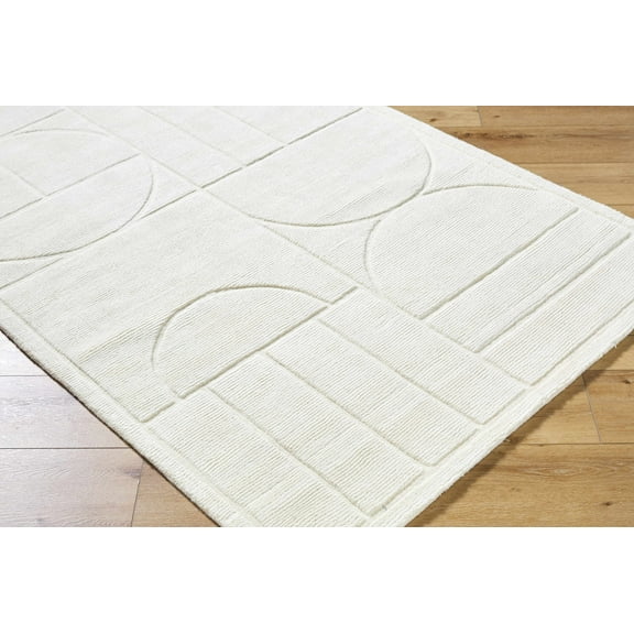 Carola Contemporary Area Rug - Off White - 2' x 3'