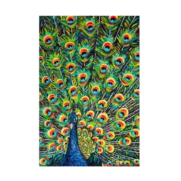 Carolee Vitaletti 'Lavish Peacock I' Canvas Art