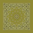 thumbnail image 1 of Carolina 516998 Paisley Bandana, Olive, 1 of 1