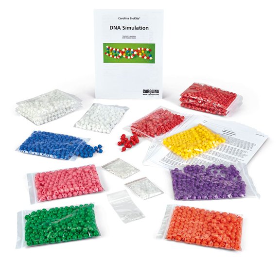 Carolina Biokits: Dna Simulation 10-Station
