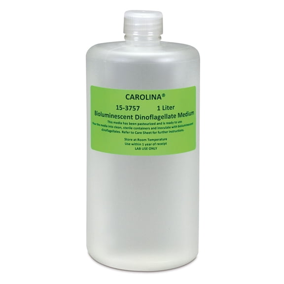 Carolina Bioluminescent Dinoflagellate Medium, 1 L