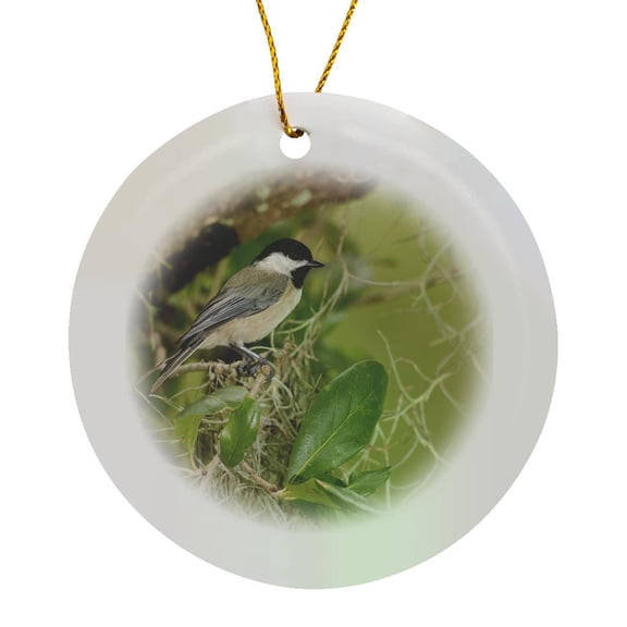 3drose, Carolina Chickadee, Poecile Carolinensis, in Live Oak Tree, Florida, Circle Porcelain Ornament