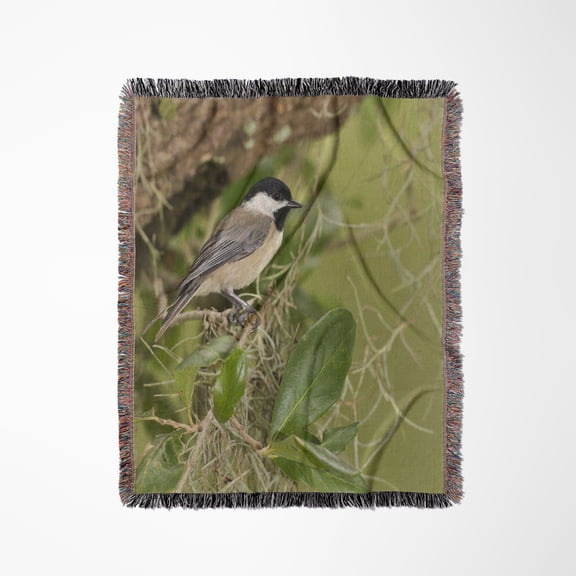 Carolina Chickadee, Poecile Carolinensis, In Live Oak Tree, Florida, Woven Blanket