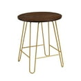 thumbnail image 1 of Carolina Classics Ethan 20 In Round Side Table in Elm and Gold, 1 of 4