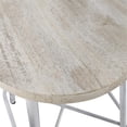 thumbnail image 1 of Carolina Classics Illona 24 Inch Counter Height Stool in Whitewash Set of 2, 1 of 3