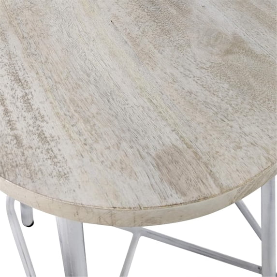 Carolina Classics Illona 24 Inch Counter Height Stool in Whitewash Set of 2