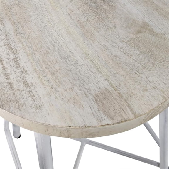 Carolina Classics Illona 24 Inch Counter Height Stool in Whitewash Set of 2