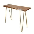 thumbnail image 1 of Carolina Classics Seti Live Edge Console Table in Elm and Gold, 1 of 3