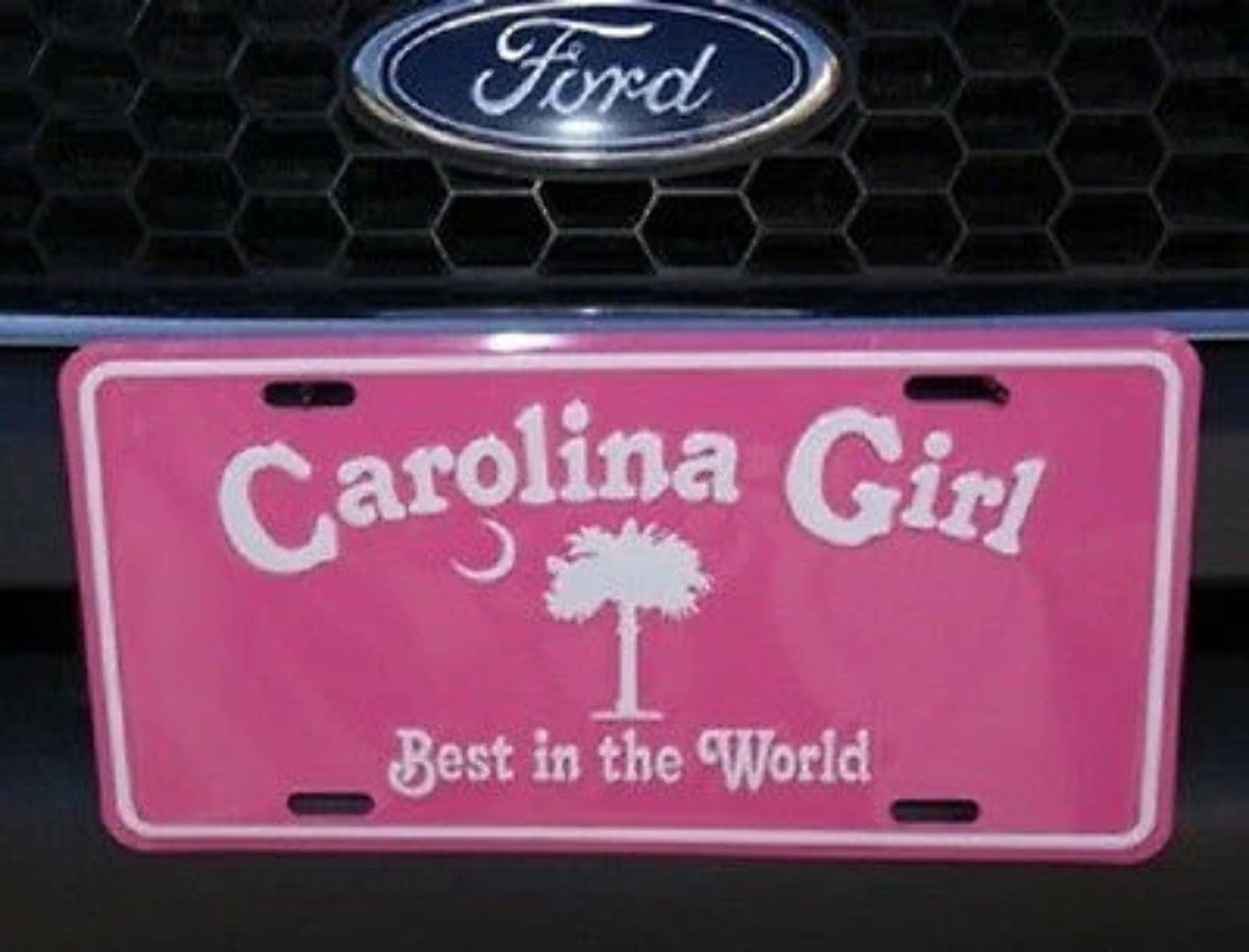 Novelty Car Plate Funny Gecko Lizards License Plate - 6x12 Inch