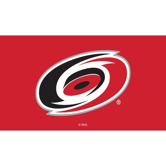 Carolina Hurricanes 28" x 16" Turf Mat