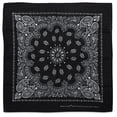 thumbnail image 1 of Carolina Paisley Bandana - Black, 1 of 1