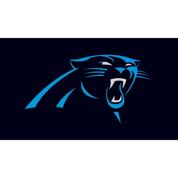 Carolina Panthers 28" x 16" Turf Mat