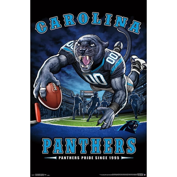 Carolina Panthers - End Zone Poster Mount Bundle