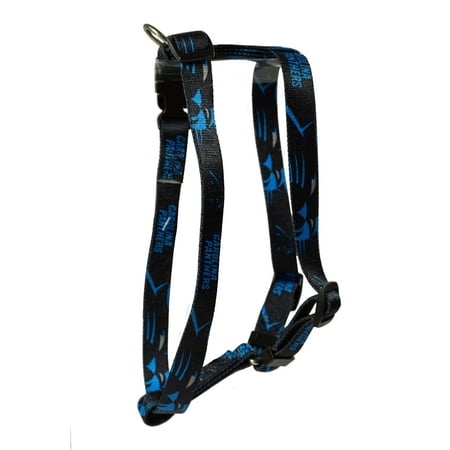 Carolina Football Panther's Extra Small XS 5/8 Inch Adjustable Pet Harness