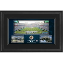 Carolina Panthers Framed 10" x 18" Stadium Panoramic Collage with Game-Used Football - Limited Edition of 500 - Fanatics Authentic Certified