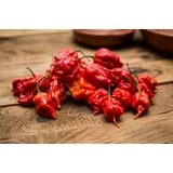 Carolina Reaper Pepper Vegetable (200 Seeds) | Organic | Non-GMO ...