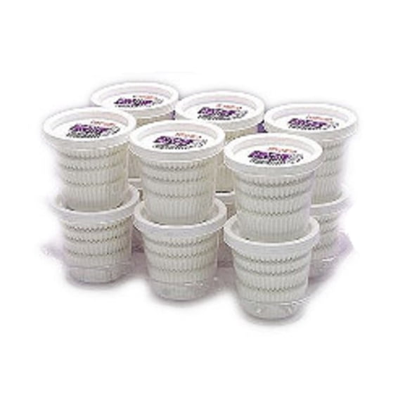 Caroline Cake Cases (Pack of 100)