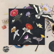Caroline Davis - Alula Captivity [COMPACT DISCS]