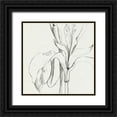 thumbnail image 1 of Caroline, Emma 12x12 Black Ornate Wood Framed with Double Matting Museum Art Print Titled - Iris Sketch Okeefe Crop II, 1 of 4