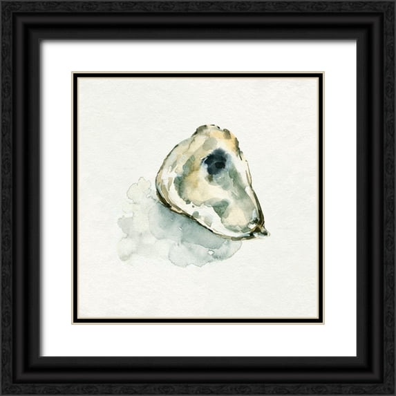 Caroline, Emma 12x12 Black Ornate Wood Framed with Double Matting Museum Art Print Titled - Old Salt Shell II