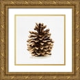 thumbnail image 1 of Caroline, Emma 12x12 Gold Ornate Wood Framed with Double Matting Museum Art Print Titled - Conifer Cone I, 1 of 4
