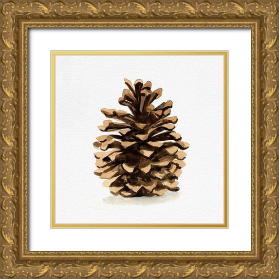 Caroline, Emma 12x12 Gold Ornate Wood Framed with Double Matting Museum Art Print Titled - Conifer Cone I