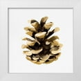 thumbnail image 1 of Caroline, Emma 12x12 White Modern Wood Framed Museum Art Print Titled - Conifer Cone II, 1 of 4
