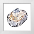 thumbnail image 1 of Caroline, Emma 12x12 White Modern Wood Framed Museum Art Print Titled - Simple Shells IV, 1 of 4