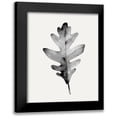 thumbnail image 1 of Caroline, Emma 12x14 Black Modern Framed Museum Art Print Titled - Smoky Oak Leaf II, 1 of 5