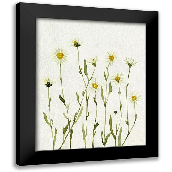 Caroline, Emma 12x14 Black Modern Framed Museum Art Print Titled - White Antique Daisies II