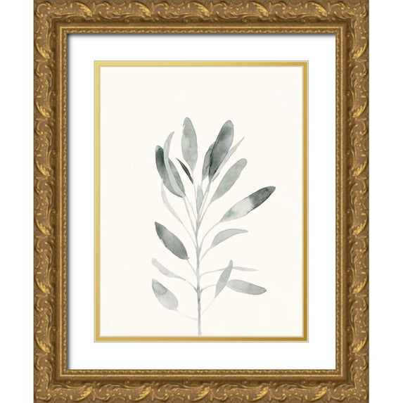 Caroline, Emma 12x14 Gold Ornate Wood Framed with Double Matting Museum Art Print Titled - Delicate Sage Botanical II