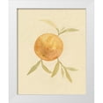 thumbnail image 1 of Caroline, Emma 12x14 White Modern Wood Framed Museum Art Print Titled - Dappled Oranges II, 1 of 4