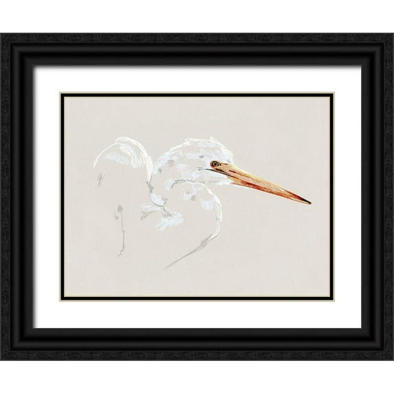 Caroline, Emma 14x12 Black Ornate Wood Framed with Double Matting Museum Art Print Titled - Bright Egret Sketch I