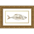 thumbnail image 1 of Caroline, Emma 14x9 Gold Ornate Wood Framed with Double Matting Museum Art Print Titled - Silver Fish II, 1 of 4