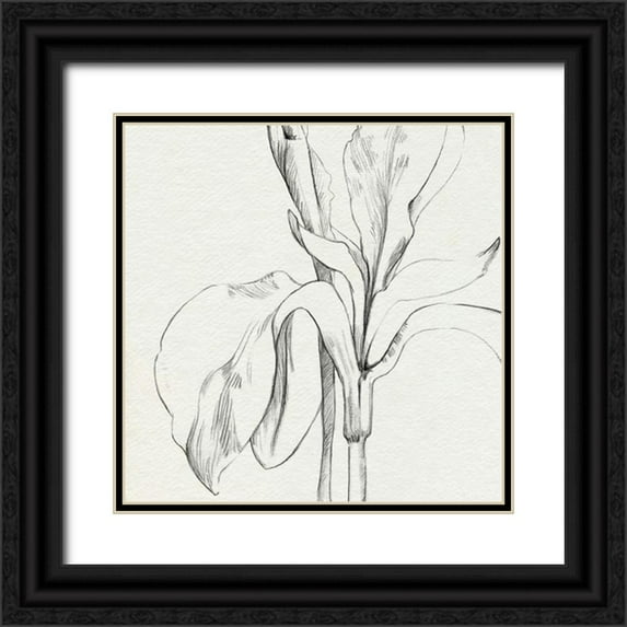 Caroline, Emma 15x15 Black Ornate Wood Framed with Double Matting Museum Art Print Titled - Iris Sketch Okeefe Crop II
