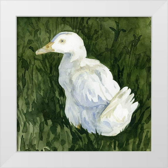 Caroline, Emma 15x15 White Modern Wood Framed Museum Art Print Titled - Lone Duck II