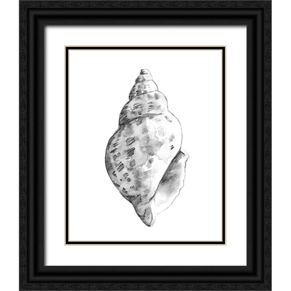 Caroline, Emma 15x18 Black Ornate Wood Framed with Double Matting Museum Art Print Titled - Quiet Conch II