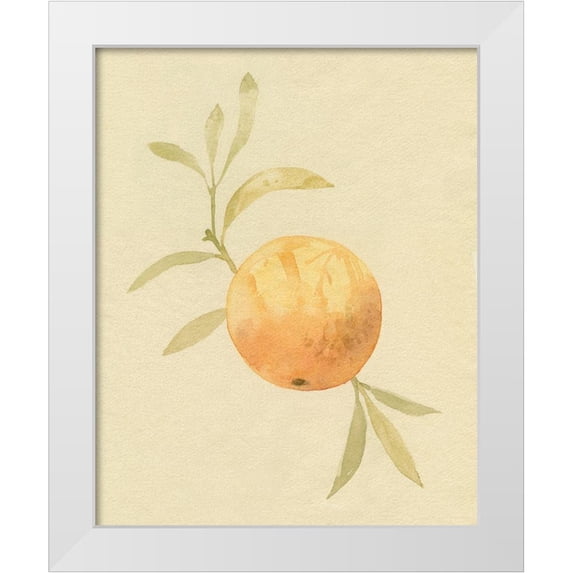 Caroline, Emma 15x18 White Modern Wood Framed Museum Art Print Titled - Dappled Oranges IV