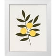 thumbnail image 1 of Caroline, Emma 15x18 White Modern Wood Framed Museum Art Print Titled - Trois Oranges II, 1 of 4