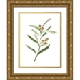 thumbnail image 1 of Caroline, Emma 19x24 Gold Ornate Wood Framed with Double Matting Museum Art Print Titled - Sweet Olive Branch II, 1 of 4