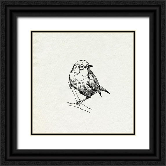 Caroline, Emma 20x20 Black Ornate Wood Framed with Double Matting Museum Art Print Titled - Bird Feeder Friends III