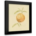thumbnail image 1 of Caroline, Emma 20x24 Black Modern Framed Museum Art Print Titled - Dappled Oranges III, 1 of 5