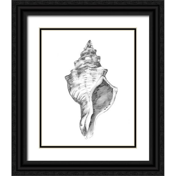 Caroline, Emma 20x24 Black Ornate Wood Framed with Double Matting Museum Art Print Titled - Quiet Conch IV