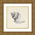 thumbnail image 1 of Caroline, Emma 26x26 Gold Ornate Wood Framed with Double Matting Museum Art Print Titled - Seashell Pencil Sketch IV, 1 of 4