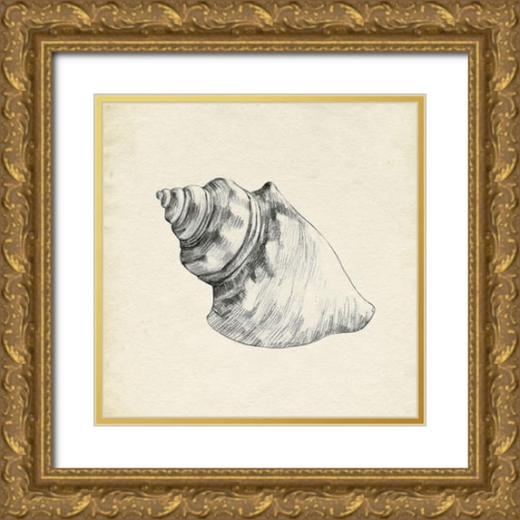 Caroline, Emma 26x26 Gold Ornate Wood Framed with Double Matting Museum Art Print Titled - Seashell Pencil Sketch IV