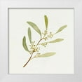 thumbnail image 1 of Caroline, Emma 26x26 White Modern Wood Framed Museum Art Print Titled - Eucalyptus Collection III, 1 of 4